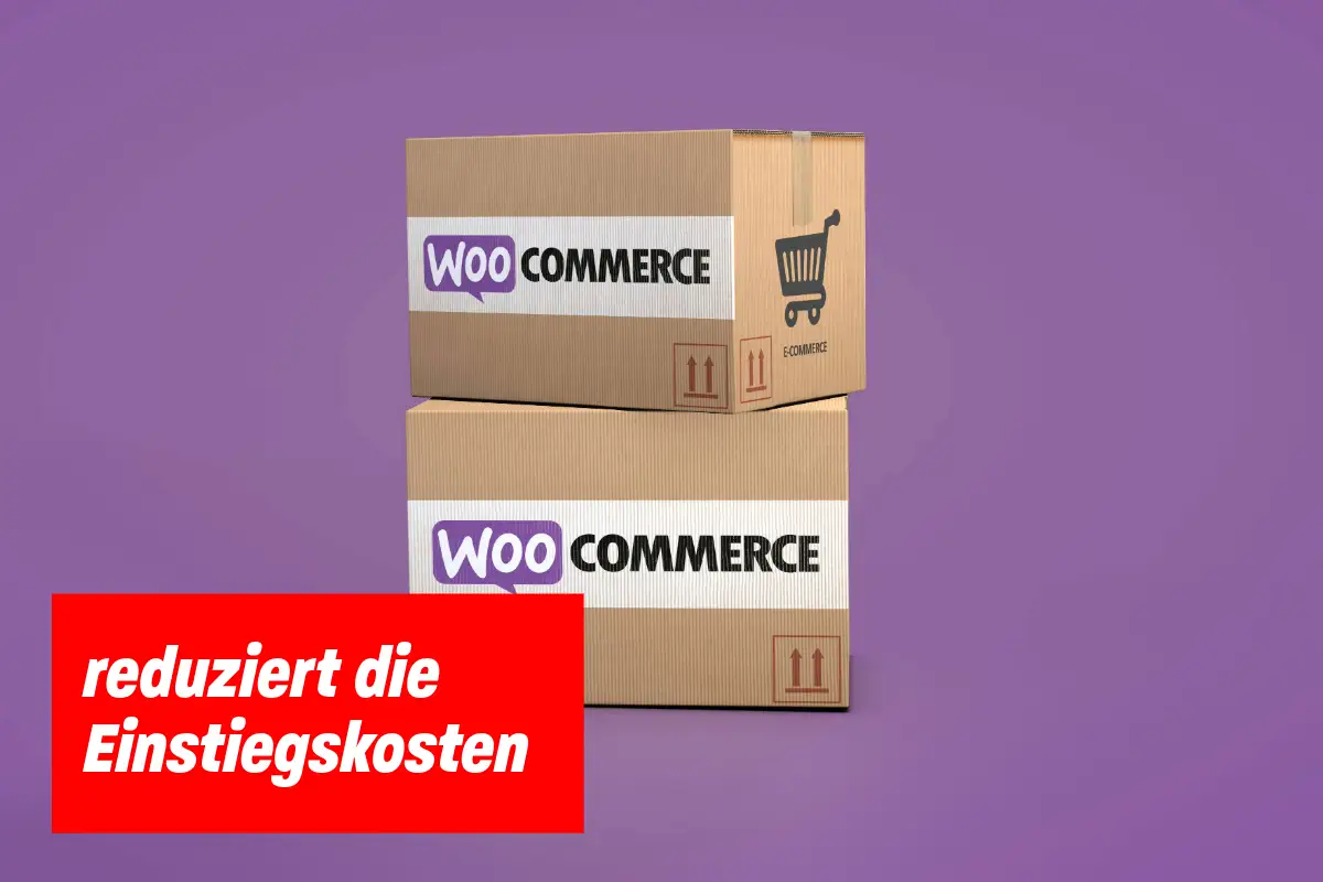 WordPress und WooCommerce sind beide Open-Source-Software und in der Grundversion kostenlos.